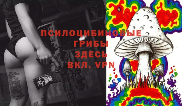 соль курить ск Вяземский
