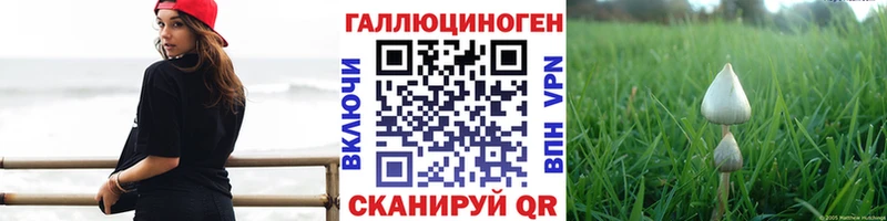 кракен ТОР  Гаджиево  Псилоцибиновые грибы Cubensis 